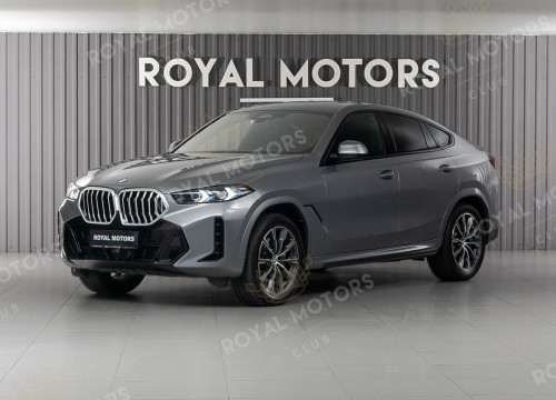 2023 BMW X6